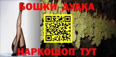 прущие грибы Пыть-Ях