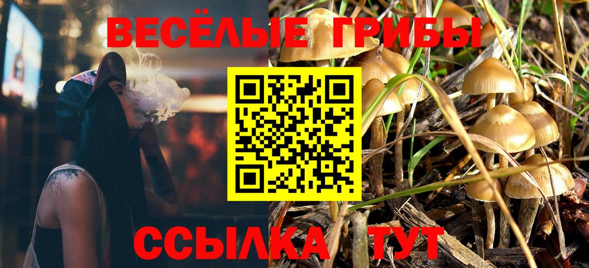Псилоцибиновые грибы ЛСД Анжеро-Судженск